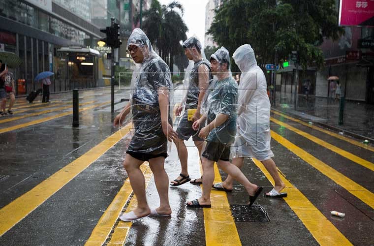 Chum anh bao Nida do bo vao Hong Kong, Quang Dong-Hinh-8